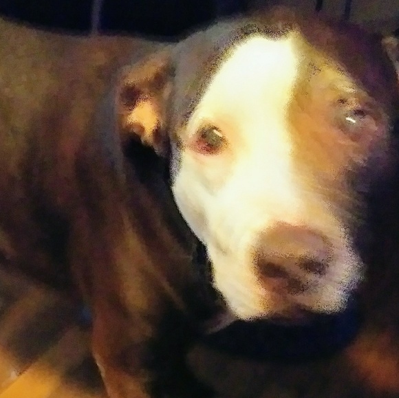 Meet your Posher, Mykokololo - Picture 3 of 4